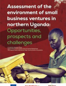 Assessment of the Environment of Small Business Ventures in Northern Uganda